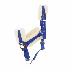 Licols Poneys|Licols Avec Mouton*Norton - Licol Confort bleu vif