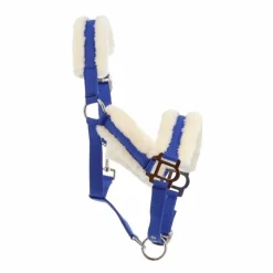 Licols Poneys|Licols Avec Mouton*Norton - Licol Confort bleu vif