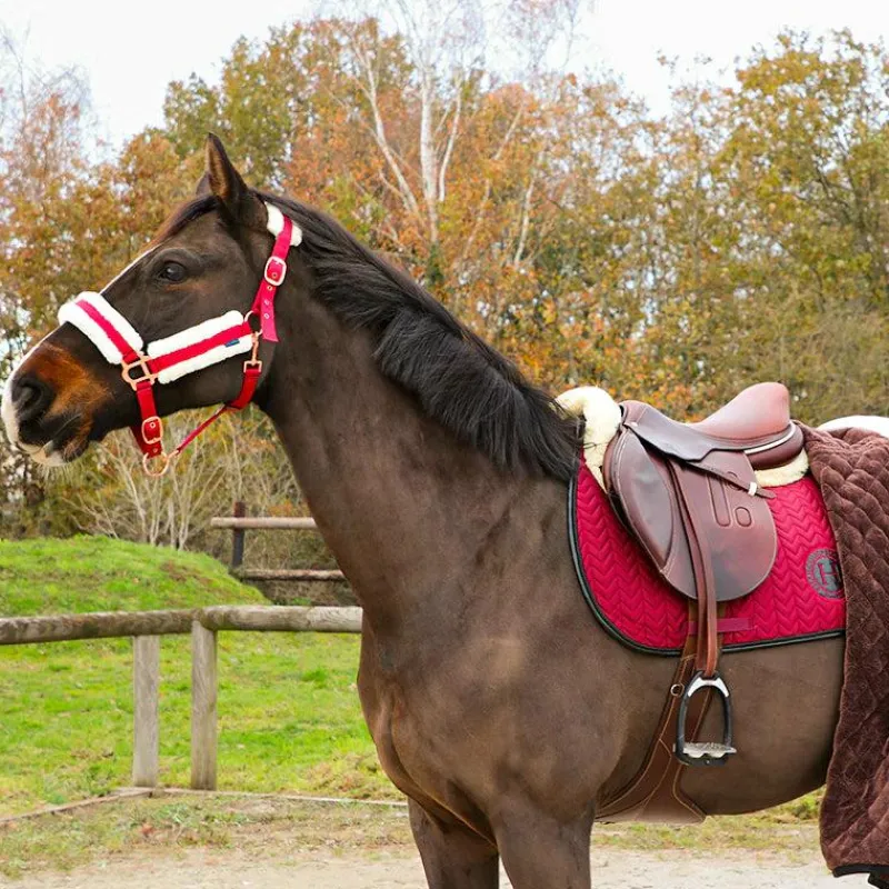 Licols Poneys|Licols Avec Mouton*Norton - Licol Confort /bouclerie or rose Bordeaux