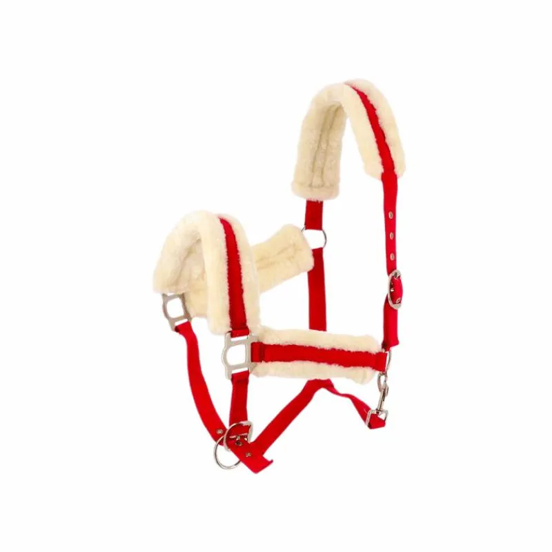 Licols Poneys|Licols Avec Mouton*Norton - Licol Confort framboise