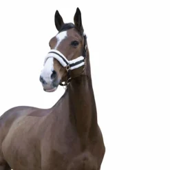 New - Licol Confort /bouclerie or rose Licols Poneys|Licols Avec Mouton