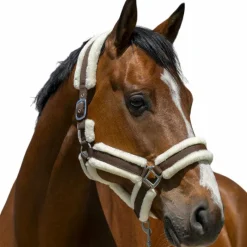 Licols Poneys*Norton - Licol Cosy chocolat Marron