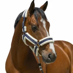 Licols Poneys*Norton - Licol Cosy Marine