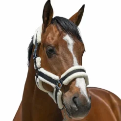 Best - Licol Cosy Licols Poneys