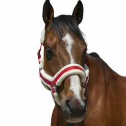 Clearance - Licol Cosy Licols Poneys