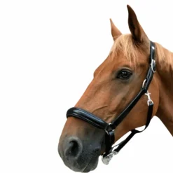 Licols En Cuir*Norton - Licol cuir anatomique