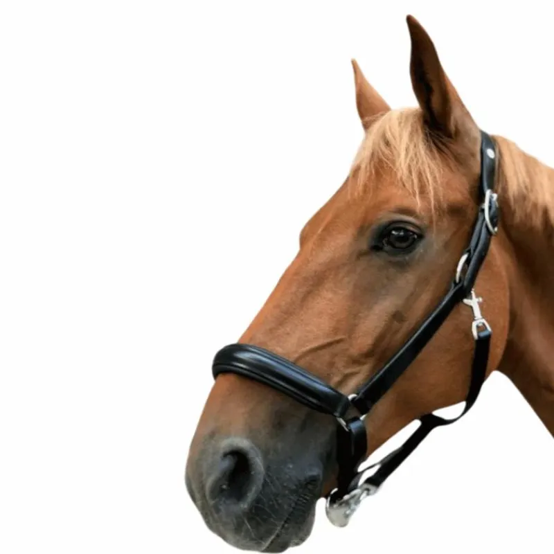 Licols En Cuir*Norton - Licol cuir anatomique