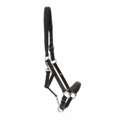 Hot - Licol cuir grooming Grooming|Licols En Cuir