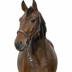 Discount - Licol et longe brillant noir/ gris/ argenté Licols Poneys|Ensembles Licols Et Longes