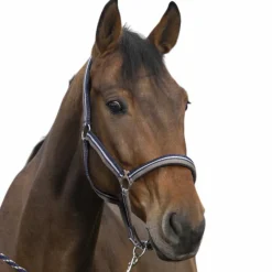 Licols Poneys|Ensembles Licols Et Longes*Norton - Licol et longe brillant taupe/ / argenté Marine