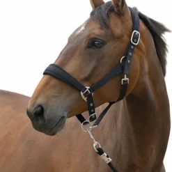 Best - Licol et longe Large Ensembles Licols Et Longes