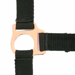 Licols Poneys|Ensembles Licols Et Longes*Norton - Licol et longe nylon rose gold/ Noir