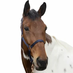 Outlet - Licol et longe nylon rose gold/ Licols Poneys|Ensembles Licols Et Longes