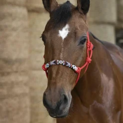 Licols Poneys|Licols Éthologiques*Norton - Licol ethologique pearl rouge