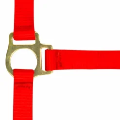 Élevage*Norton - Licol foal + longe rouge