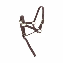 Discount - Licol foal + longe brun Élevage|Licols Foals