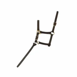 Élevage*Norton - Licol foal + longe noir