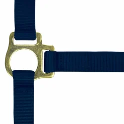 Élevage*Norton - Licol foal + longe marine