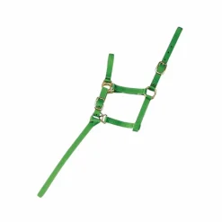 Élevage*Norton - Licol foal + longe vert clair