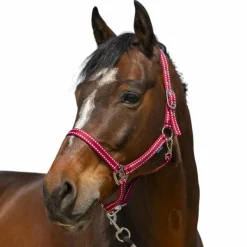 Discount - Licol Grooming Licols Poneys