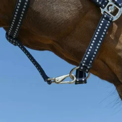 Clearance - Licol Grooming Licols Poneys