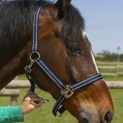 Clearance - Licol Grooming Licols Poneys