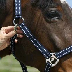 Clearance - Licol Grooming Licols Poneys