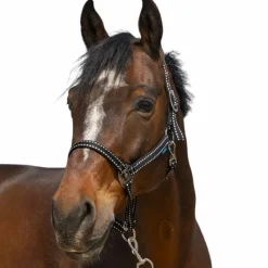 Licols Poneys*Norton - Licol Grooming Noir