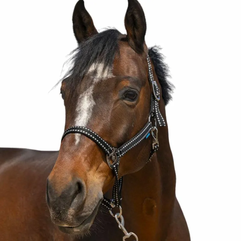 Licols Poneys*Norton - Licol Grooming Noir