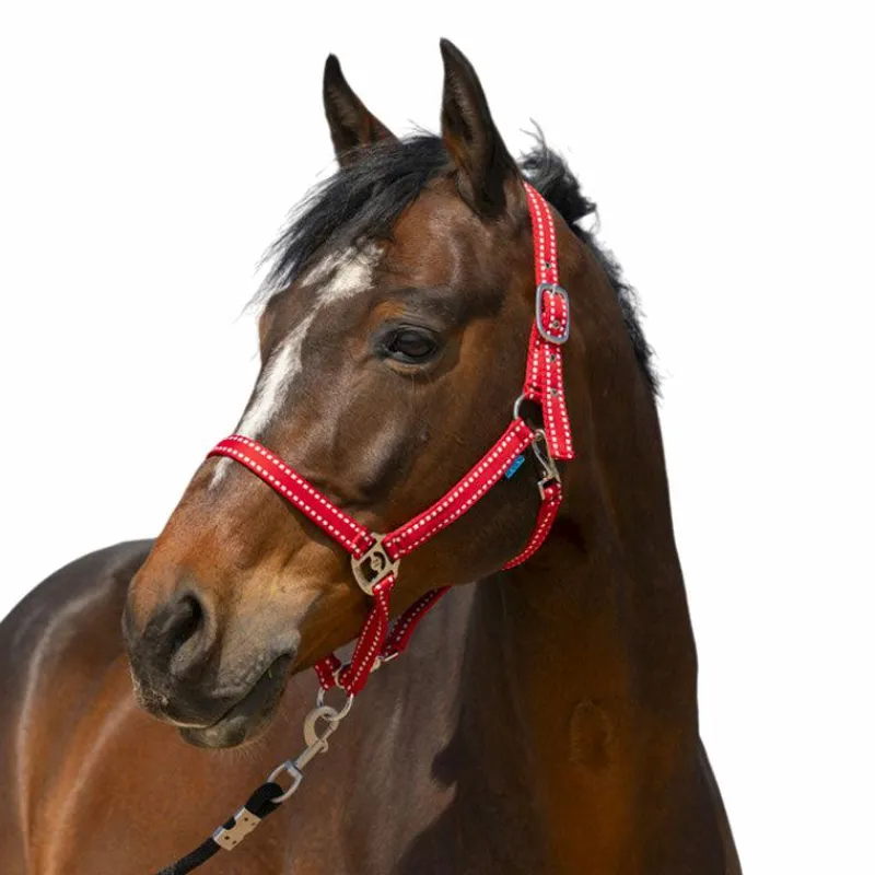 Licols Poneys*Norton - Licol Grooming Rouge