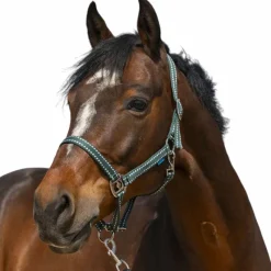 Clearance - Licol Grooming foncé Licols Poneys