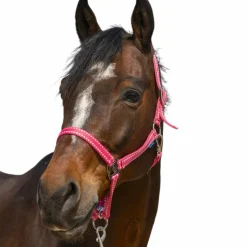 Licols Poneys*Norton - Licol Grooming vieux Rose