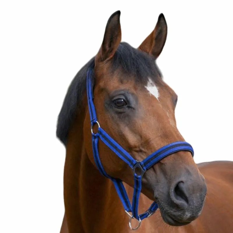 Licols Poneys|Licols En Nylon*Norton - Licol nylon doublé néoprène bleu/ noir