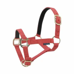 Online - Licol nylon doublé cuir rouge Licols Poneys|Licols En Nylon