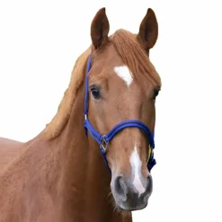 Licols Poneys|Licols En Nylon*Norton - Licol nylon doublé cuir bleu/ noir