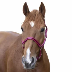 New - Licol nylon doublé cuir framboise/ noir Licols Poneys|Licols En Nylon