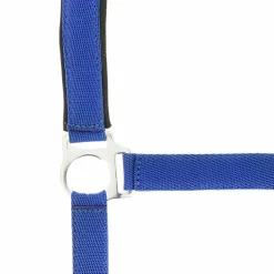 Discount - Licol nylon doublé néoprène bleu roi Licols Poneys|Licols En Nylon