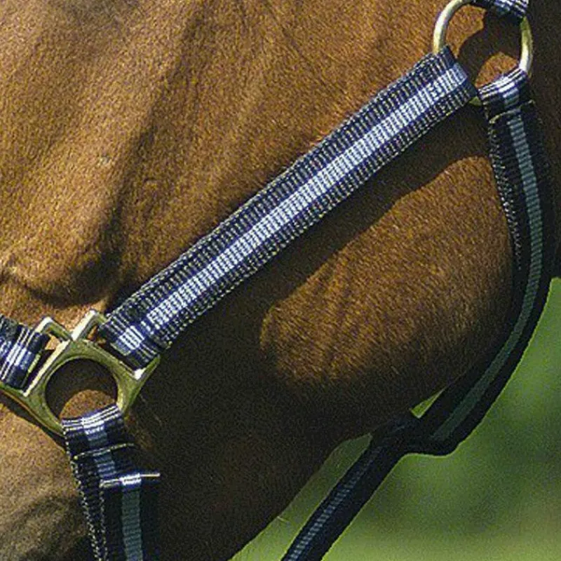 Discount - Licol nylon doublé cuir marine/ gris Licols Poneys|Licols En Nylon