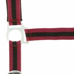 Online - Licol nylon doublé néoprène bordeaux/ noir Licols Poneys|Licols En Nylon