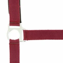 Online - Licol nylon doublé néoprène bordeaux Licols Poneys|Licols En Nylon