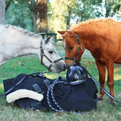 Licols Poneys|Licols En Nylon*Norton - Licol nylon doublé néoprène noir