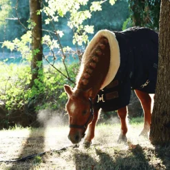 Licols Poneys|Licols En Nylon*Norton - Licol nylon doublé néoprène noir