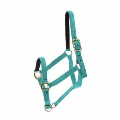 Licols Poneys|Licols En Nylon*Norton - Licol nylon doublé cuir turquoise