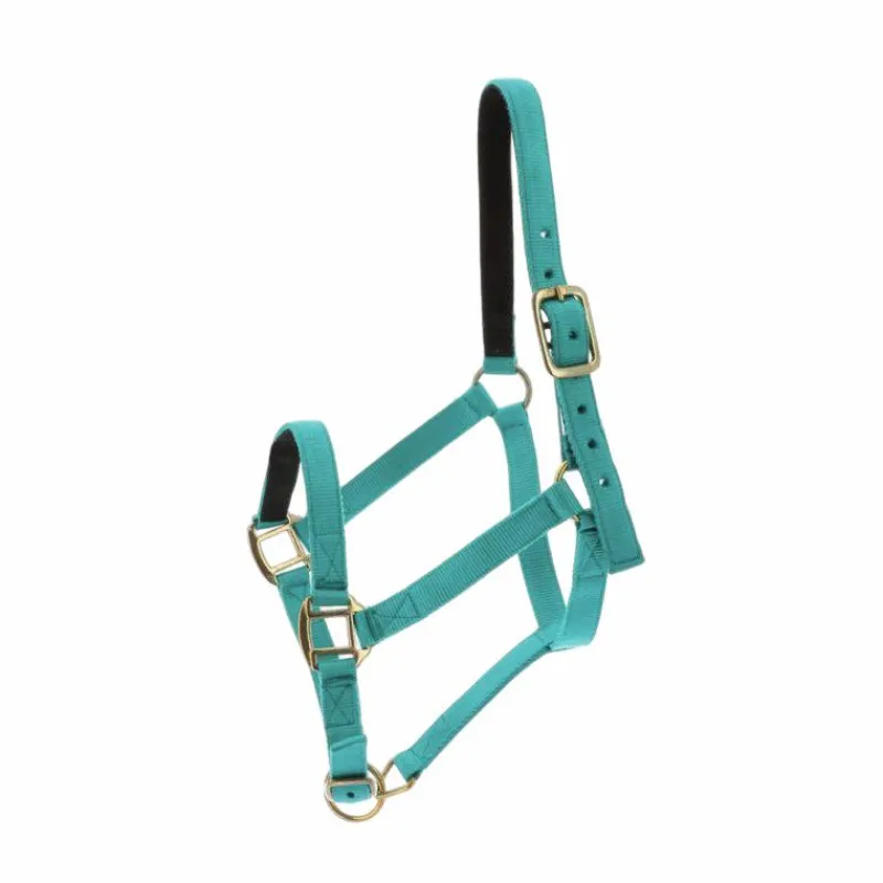 Licols Poneys|Licols En Nylon*Norton - Licol nylon doublé cuir turquoise