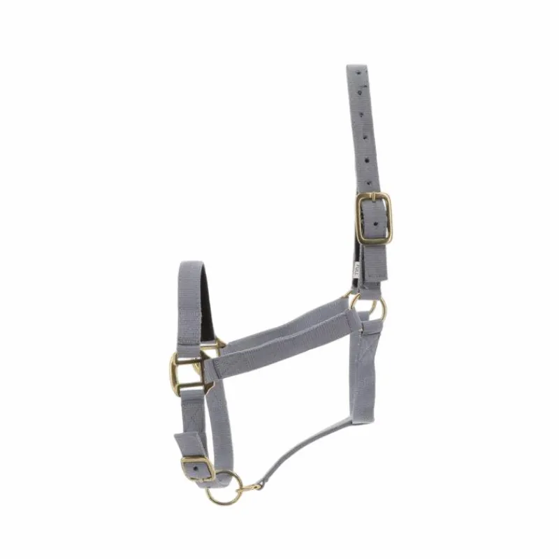 Licols Poneys|Licols En Nylon*Norton - Licol nylon doublé cuir gris clair