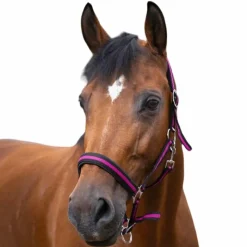 Licols Poneys|Licols En Nylon*Norton - Licol nylon doublé néoprène noir/ framboise