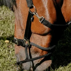 Licols Poneys*Norton - Licol Nylon Educatif Noir