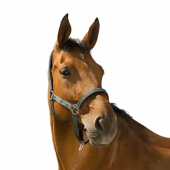 Clearance - Licol Reflective Licols Poneys|Licols Polypropylène