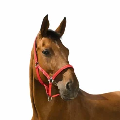 Licols Poneys|Licols Polypropylène*Norton - Licol Reflective Rouge