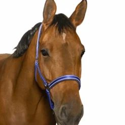 Licols Poneys|Licols Polypropylène*Norton - Licol Reflective Bleu